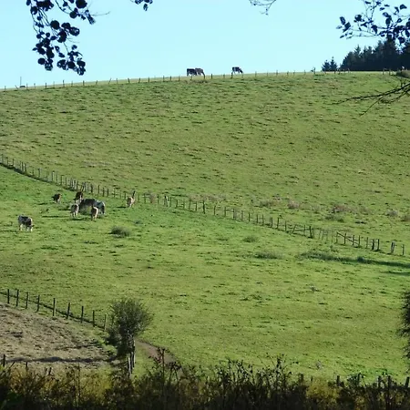 Snowview By Interhome Hébergement de vacances *