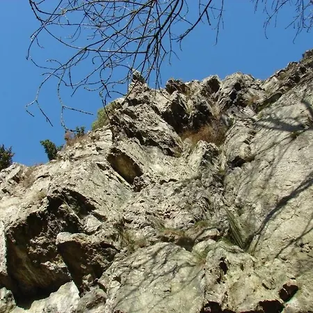 Snowview By Interhome