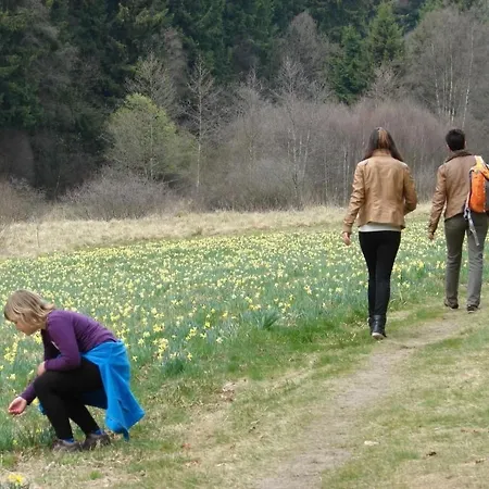 Snowview By Interhome Medendorf