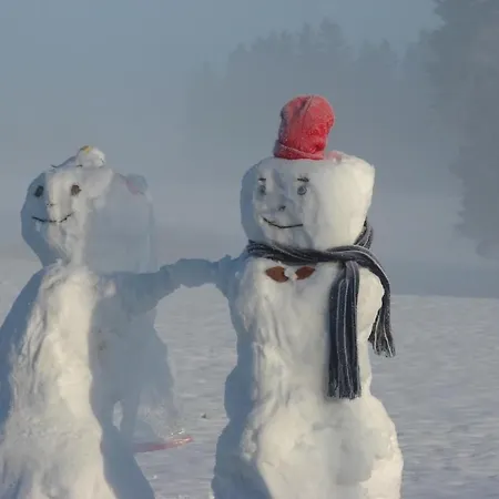 Snowview By Interhome Hébergement de vacances