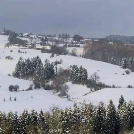 Casa vacanze Snowview By Interhome Medendorf