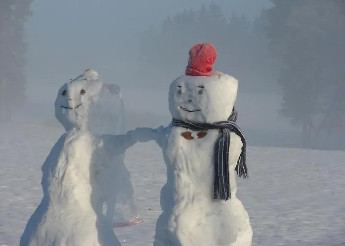 Snowview By Interhome Сasa de vacaciones